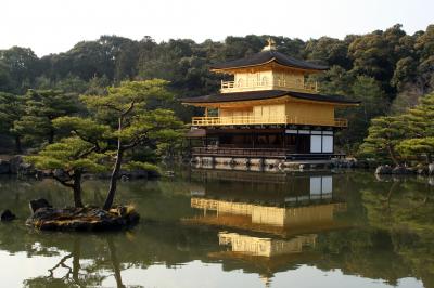 Kinkakuji Tapınağı Japon Bahçesi 2